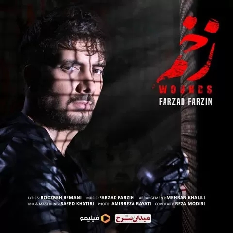 فرزاد فرزین همه وعده شون به ما زخم کاریه اینا واسه ما یادگاریه